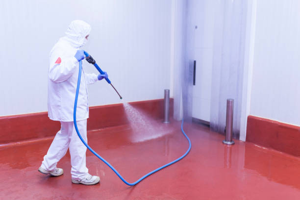 Best Solar Panel Cleaning  in Cherryvale, KS